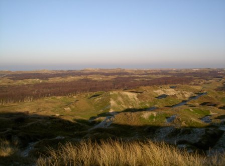 Zuckerpad Dünenlandschaft der Insel